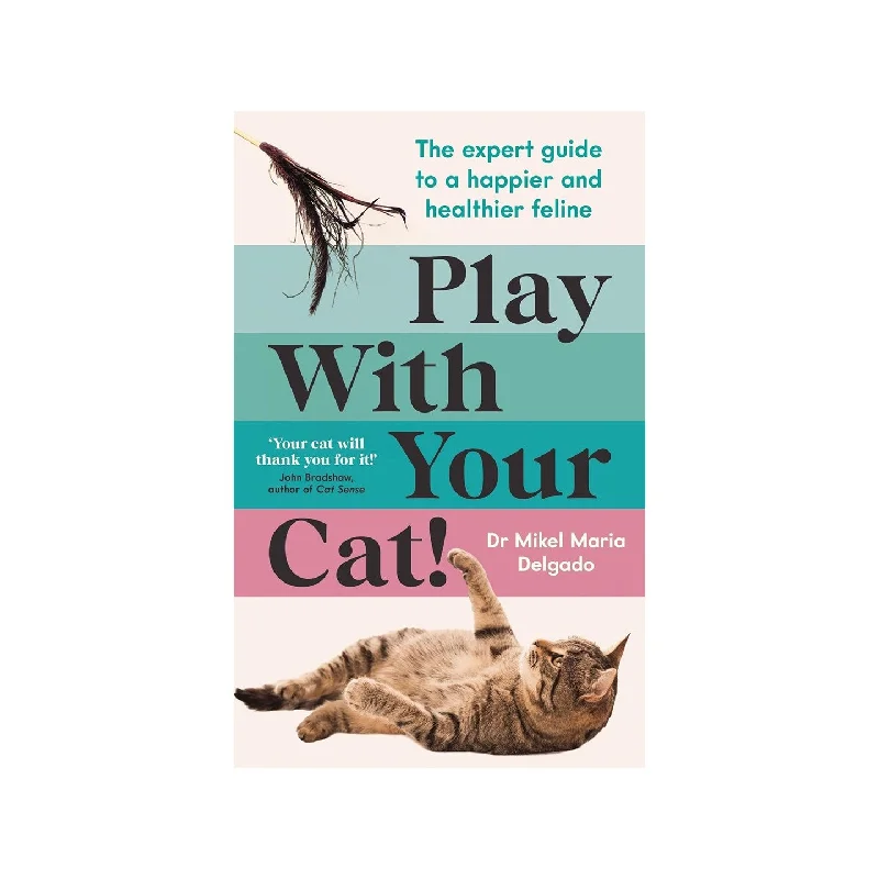 Play With Your Cat!