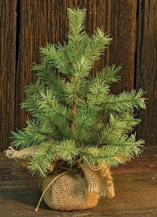 Mountain Pine Tree, 12"