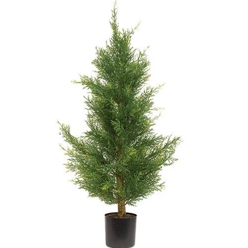 Potted McKinley Cedar Tree, 3ft