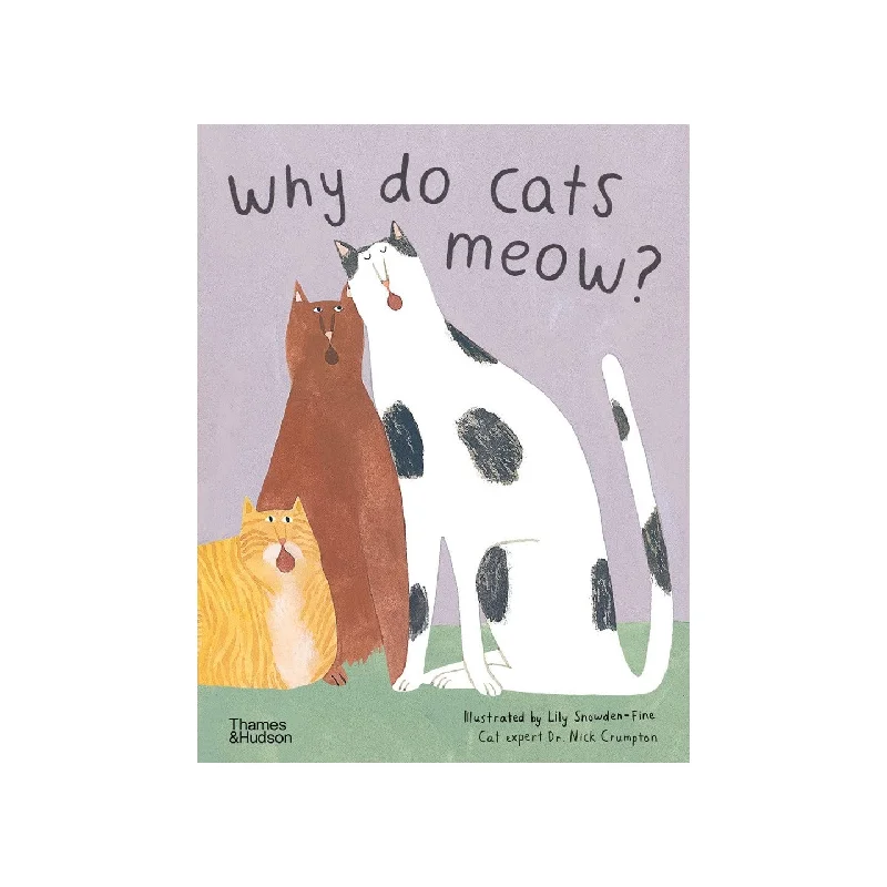 Why do cats meow? Curious Questions about Your Favourite Pet