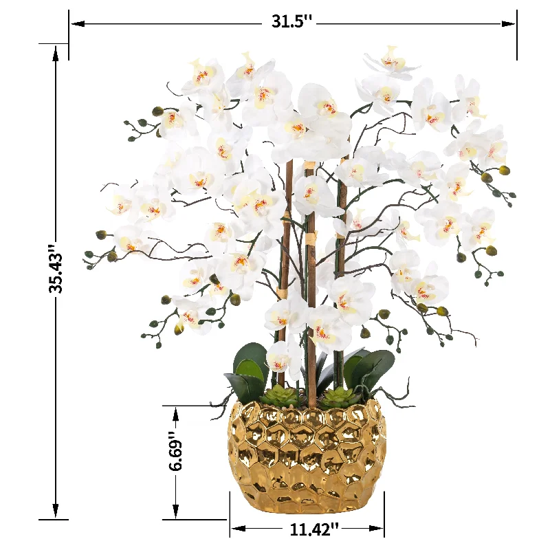 8 Stems Real Touch Phalaenopsis Plastic Orchids with Succulents in White Ceramic Pot - 35.43" H x 31.5" W x 31.5 " D