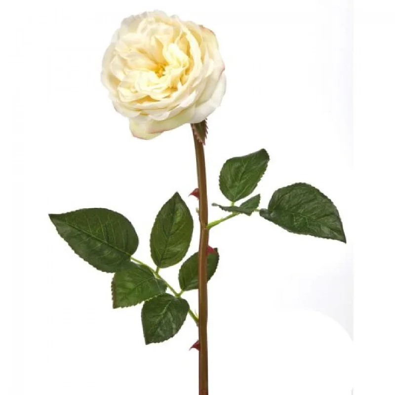 Cream Real Touch English Rose Stem Artificial Flower